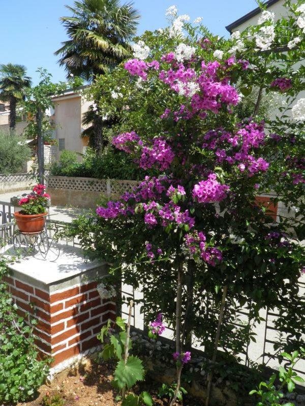 Sendi Apartment Porec Exterior photo